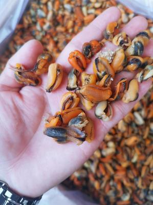 廣東廣州荔灣區貽貝批發 優質淡菜干，25.00元/斤實惠海味
