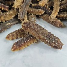 六排刺海參 深海珍饈，滋補(bǔ)佳品